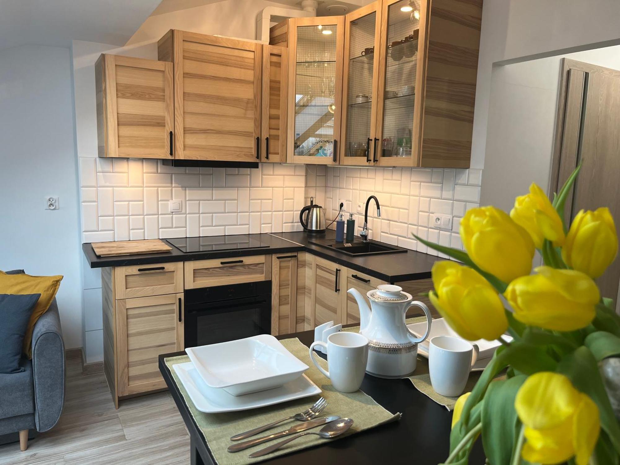 Feelhome Apartment With Kitchen Краків Екстер'єр фото